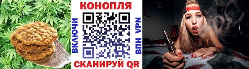 OMG маркетплейс  Новопавловск  Cannafood конопля 