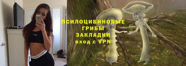 амф Абдулино