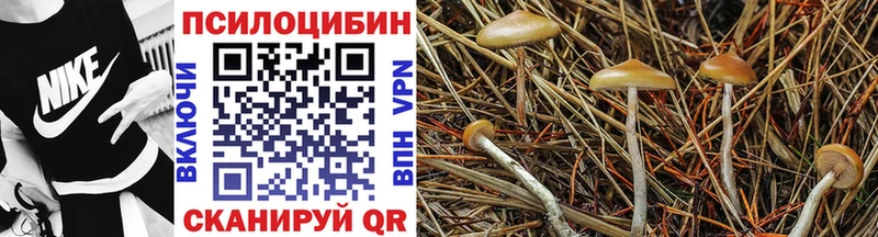 Псилоцибиновые грибы мухоморы  ОМГ ОМГ ссылки  Новопавловск 